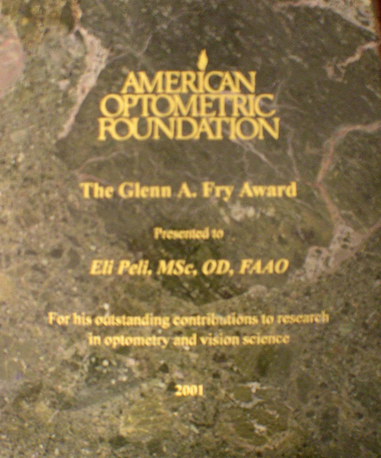 The Glenn A. Fry Lecture Award