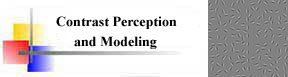 Contrast Perception and Modeling
