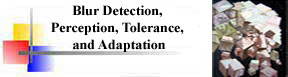 Blur Detection, Perception, Tolerance and Adaptation