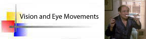 Vision and Eye Movements